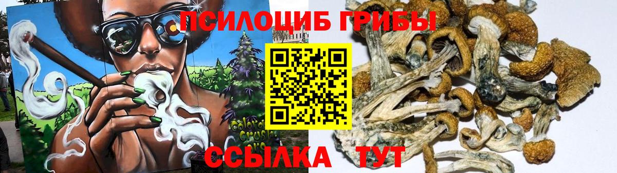 Малгобек  Галлюциногенные грибы MAGIC MUSHROOMS  Вход с VPN 
