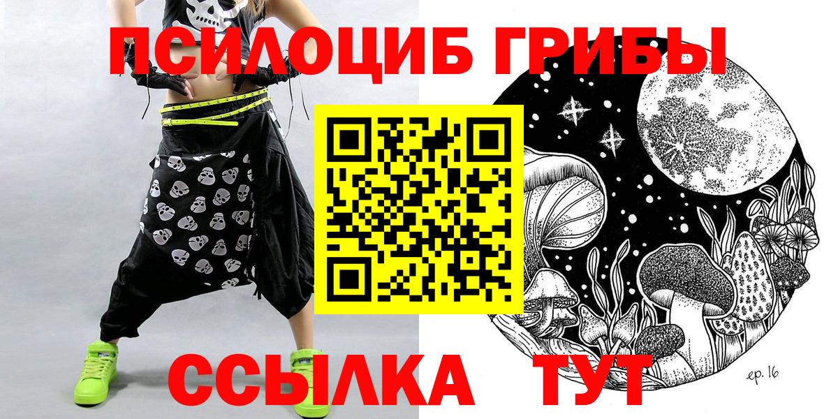 Псилоцибиновые грибы GOLDEN TEACHER Малгобек
